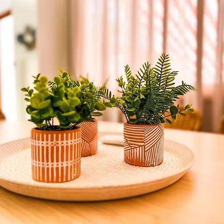 Stunning Bungalow, Pool, Terrace, Beach! Se12